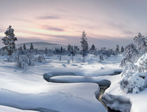 Silence is one of the greatest healers